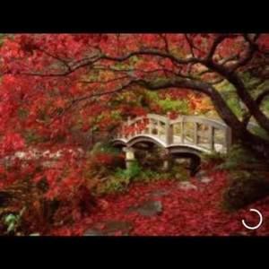 Meet your Posher, Dee